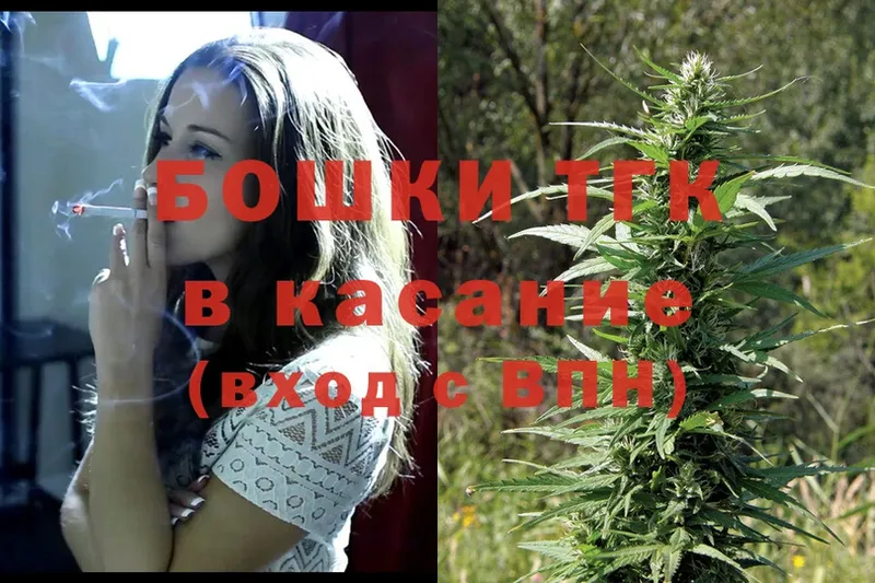 Конопля гибрид  Вятские Поляны 